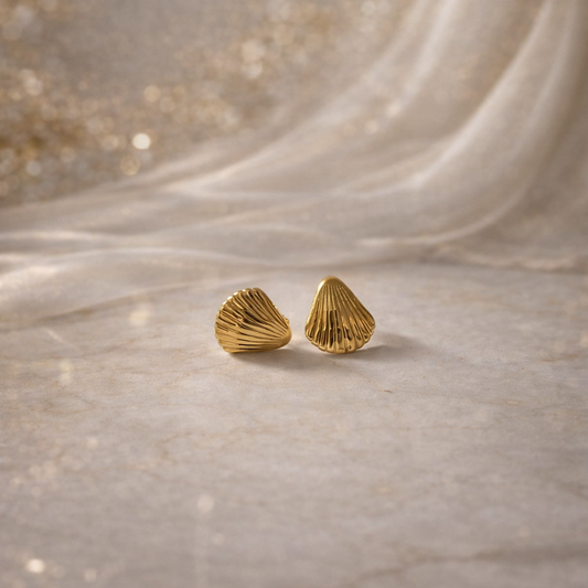 Golden Shell Fluted Stud Earrings